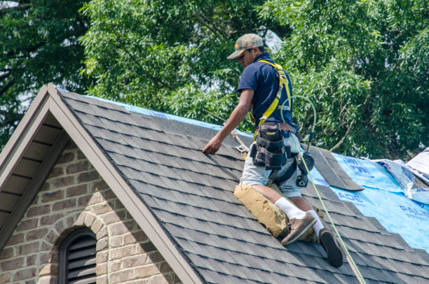 Best Storm Damage Roof Repair  in Osceola, IA